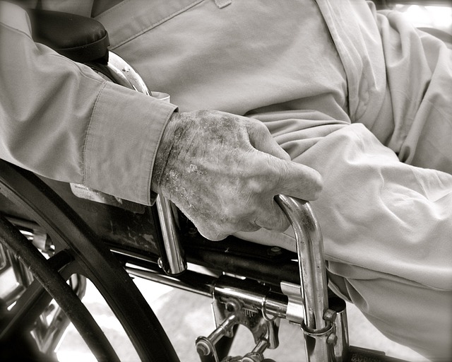 Combat Senior Isolation: The Impact of Elderly Companion Services