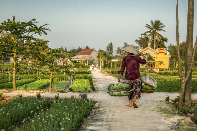 Local Harvest: Unpacking Freshness and Community Impact with Farm-to-Table Services