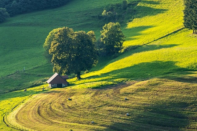 Eco-Friendly Solutions: Mastering Yard Waste Removal through Composting Education