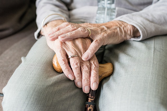 Companion Care at Home: Enhancing Elderly Quality of Life