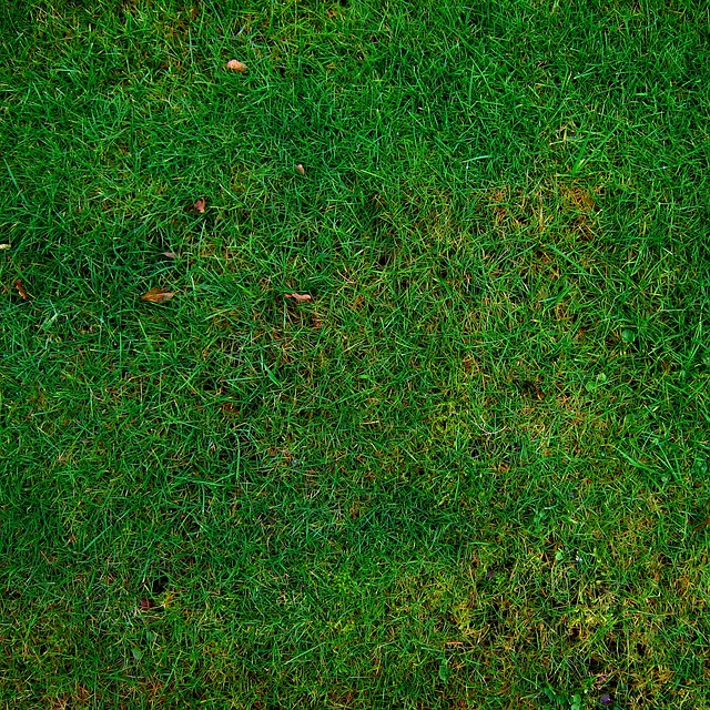 Optimizing Your Lawn: Fertilization & Weed Control for Healthy Landscapes