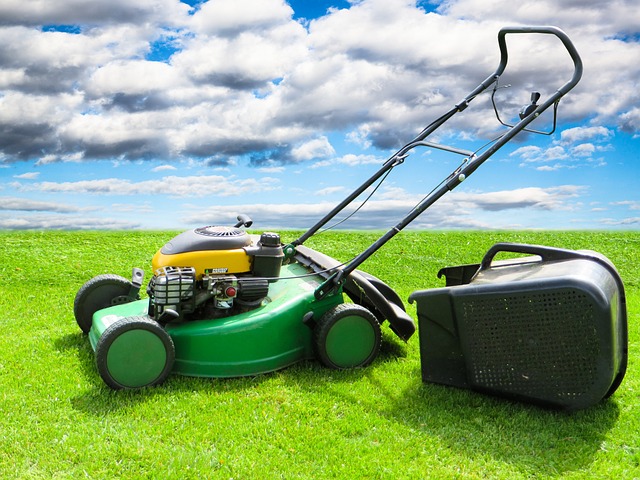 Seasonal Yard Cleanups: Maximize Lawn Health with Expert Tips