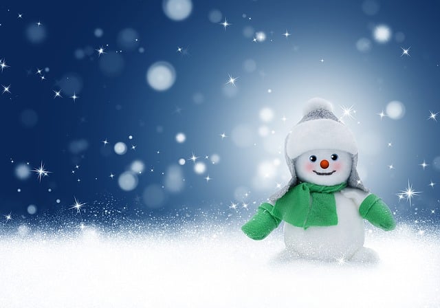 brampton snow removal, snow removal brampton, brampton snow removal services