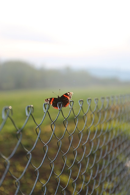 Strengthen Security with Chain Link Fence Installation in Barrie