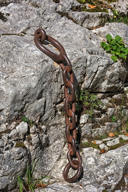 Privacy-Focused: Upgrading Your Chain Link Fence in Barrie