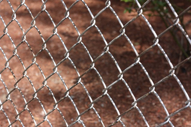 Revolutionize Your Chain Link Fence: Top 3 Self-Closing Options for Security & Convenience