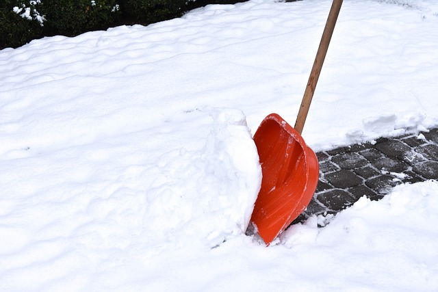 Crafting a Commercial Snow Removal Contract: Brampton’s 5-Step Guide