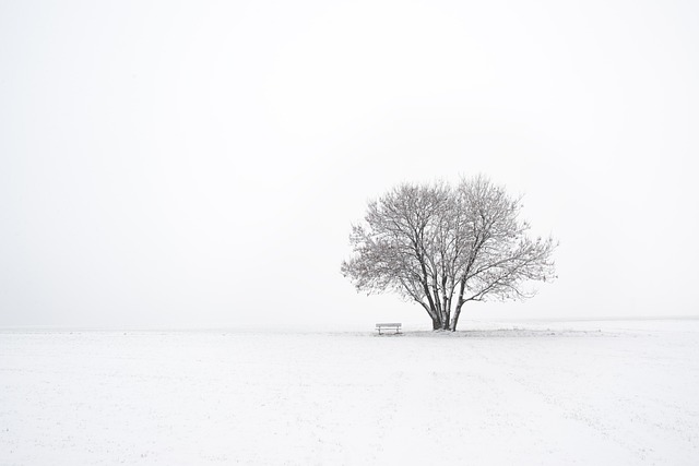 Commercial Snow Removal, Commercial Snow Removal Services