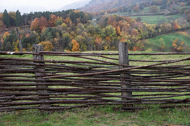 Fencing Contractors in Barrie, Fencing Contractors, Fencing Contractors Barrie