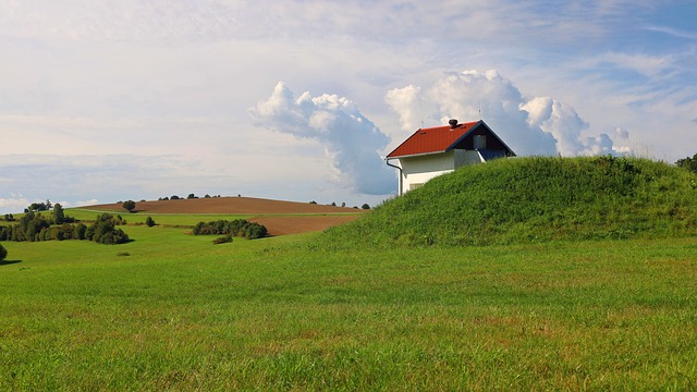 Maximizing Your Yard’s Potential: Professional Lawn Care and Landscaping Services