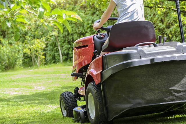 Lawn Care: Nurturing Your Outdoor Space with Professional Landscaping Techniques