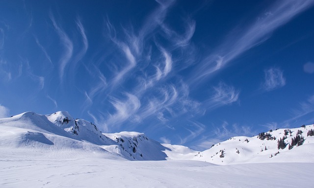 snow removal services Brampton