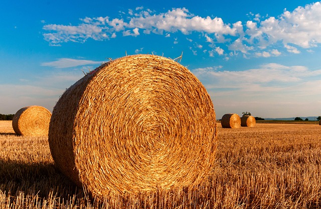 Grey-Bruce Farms for Sale, Grey-Bruce Ontario Farms for Sale