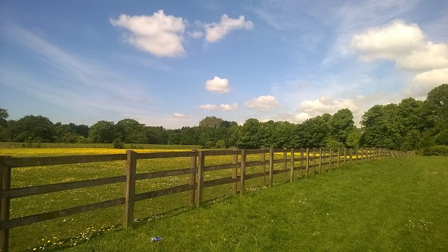 Top Farm Fencing Choices for Ontario: Durable & Stylish Solutions