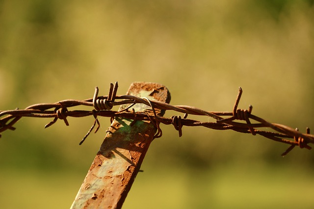 Save on Fencing Contractor Costs: 3 Tips for Budget-Conscious Residents in Barrie