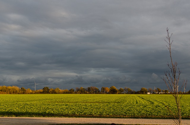 Grey-Bruce Farms for Sale, Grey-Bruce Ontario Farms for Sale