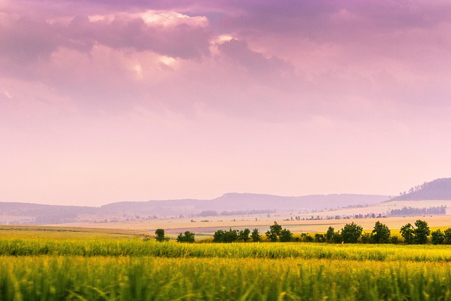 Grey-Bruce Farms for Sale, Grey-Bruce Ontario Farms for Sale