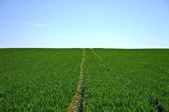 Grey-Bruce Farms for Sale, Grey-Bruce Ontario Farms for Sale