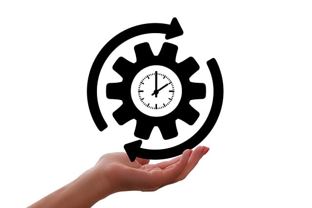 Top 5 Qualities for Efficient Property Management in Collingwood