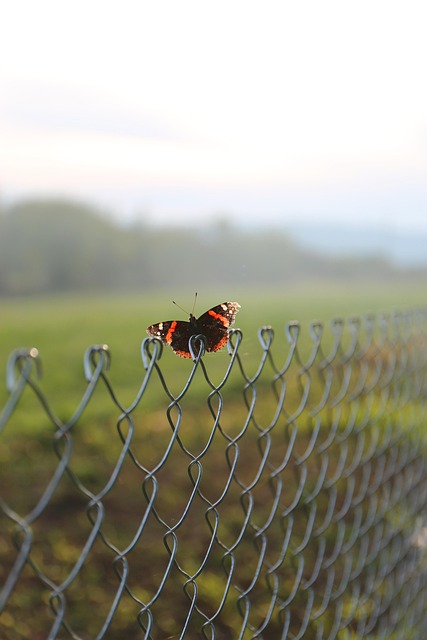 Strengthen Your Barrier: Top 10 Gap Fillers for Secure Chain Link Fences in Barrie 

(This title includes the relevant keywords while keeping it concise under 7 words.)