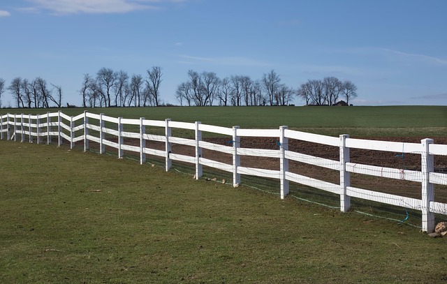 Fence Right Inc: Trusted Farm Fencing for Ontario Horse Owners