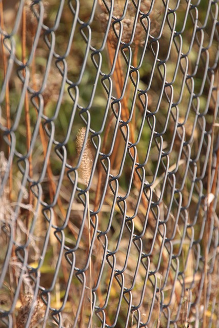 Fencing Barrie Experts: Fence Right Inc’s Quality Installations