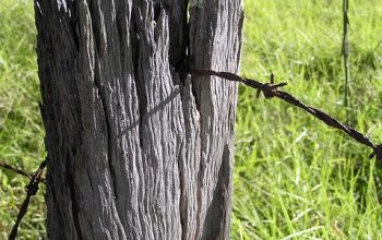 fencing-farm-fencing-for-farms-fence-for-640x480-72984326.jpeg