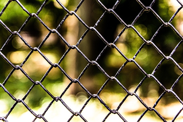 Elevate Your Collingwood Home with Ornamental Iron Fencing from Fence Right Inc