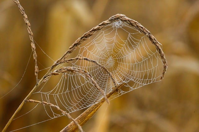 Barrie web design Ontario