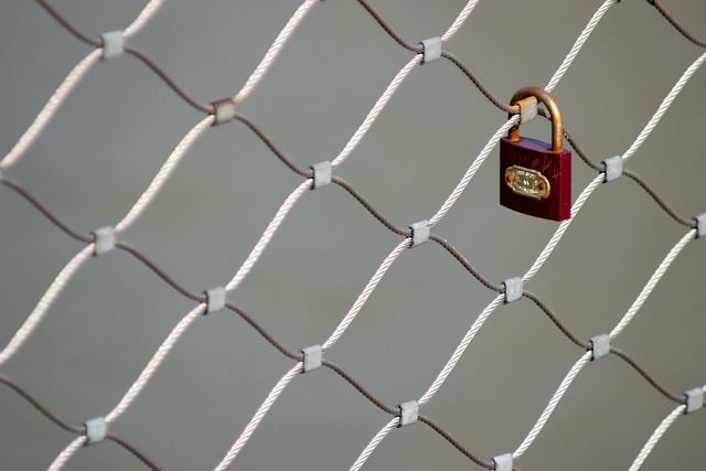 chain-link-fence-installation-in-barrie-640x480-18093674.jpeg
