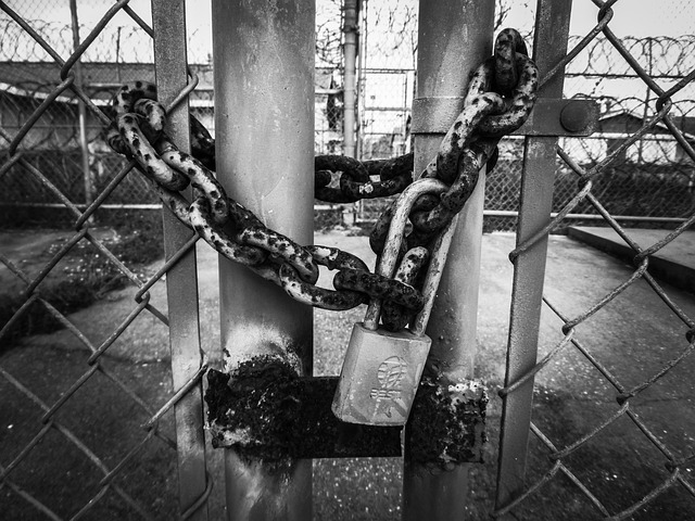 Hiring Chain Link Fence Installers in Barrie: Key Questions & Considerations