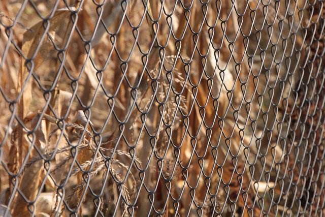 chain-link-fence-installation-in-barrie-640x480-86118655.jpeg