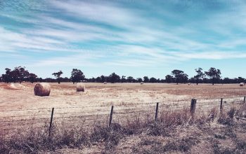 fence-for-farms-ontario-fence-for-farms-640x480-36550321.jpeg