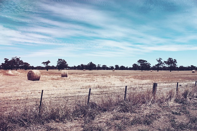 Install a Secure Farm Fence: Ontario’s 5-Step Guide