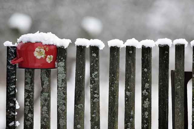 Top 7 Farm Fencing Choices for Ontario: Traditional to Eco-Friendly Solutions