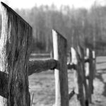 fence-for-farms-ontario-fence-for-farms-640x480-62557596.jpeg