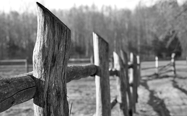Building Farm Fences in Ontario: 5 Steps with Fence Right Inc