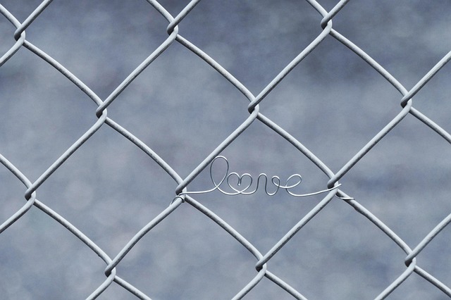 Top 10 Farm Fence Deals in Ontario: Page Wire Options