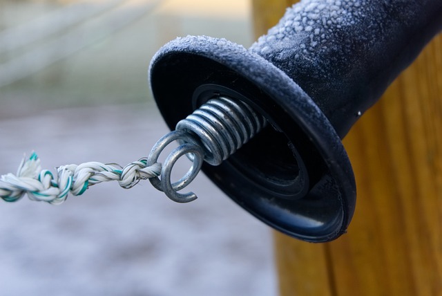 Expert Guide: Cost-Effective Cattle Fencing Solutions for Ontario Farmers