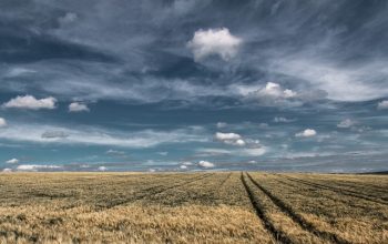 fence-for-farms-ontario-fence-for-farms-640x480-72903108.jpeg