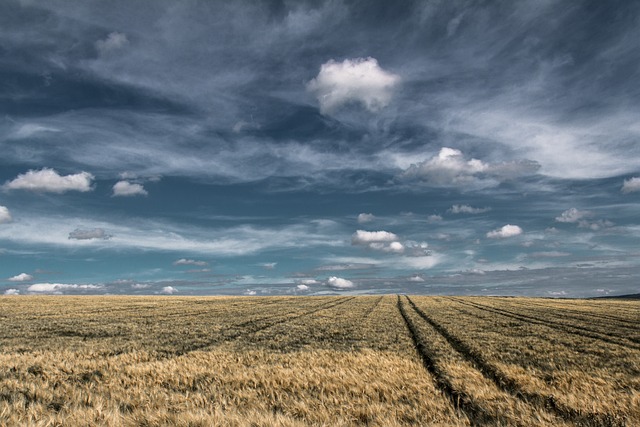 Top 10 Wire Fence Suppliers for Farms in Ontario
