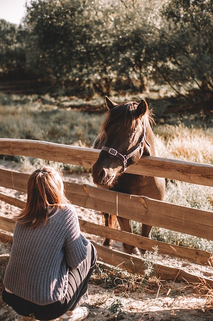 Affordable Livestock Fencing Options for Ontario Farms: A Comprehensive Guide