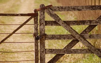 fence-for-farms-ontario-fence-for-farms-640x480-83425285.jpeg