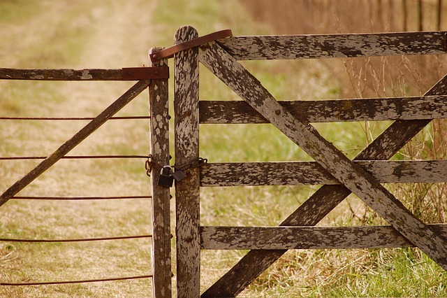 Ontario Farm Fencing: 5 Steps to Secure Your Property