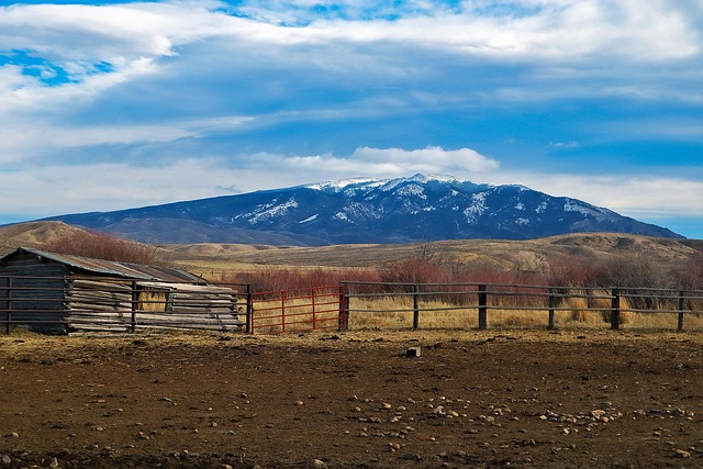 Fencing Ontario Farms: Top 7 Picks from Fence Right Inc.