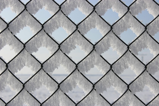 Metal Farm Gates for Ontario: Security & Durability by Fence Right Inc