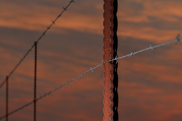 Farm Fencing Ontario: Experts Guide to Secure Farms Effortlessly