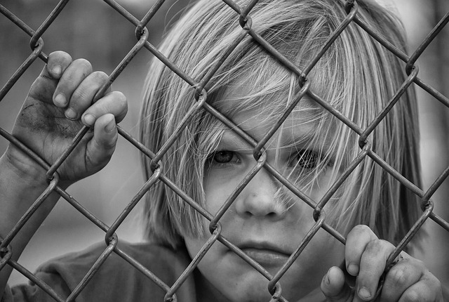 Maximizing Farm Security: Ontario’s Durable Field Gates Guide