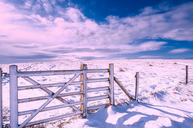 Definining Ontario’s Rural Property Lines: Farm Fence Styles & Options