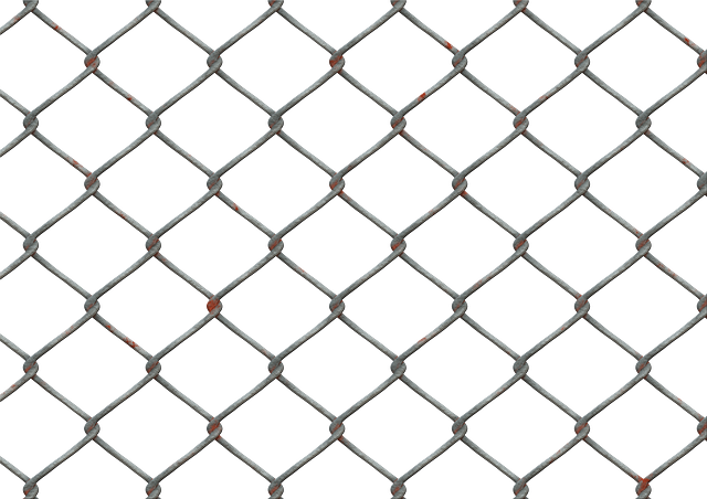 Optimizing Ontario Farm Entrances: Durable Field Gates for Efficient Farm Fencing